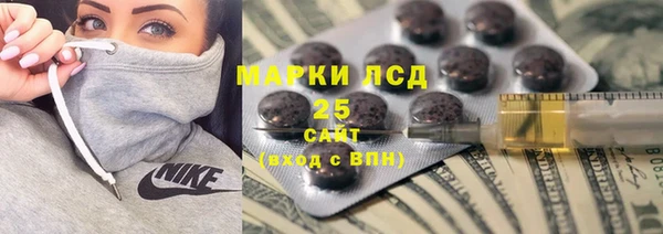 крисы Алзамай