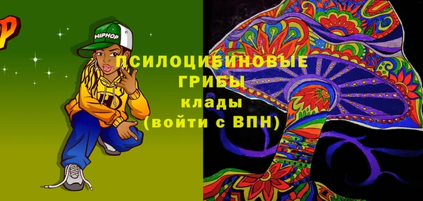 крисы Алзамай